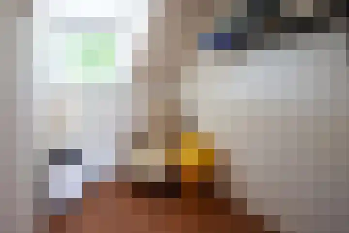Kaukasuslaan 26 Tilburg thumbnail 34
