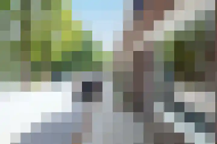 Kaukasuslaan 26 Tilburg thumbnail 41