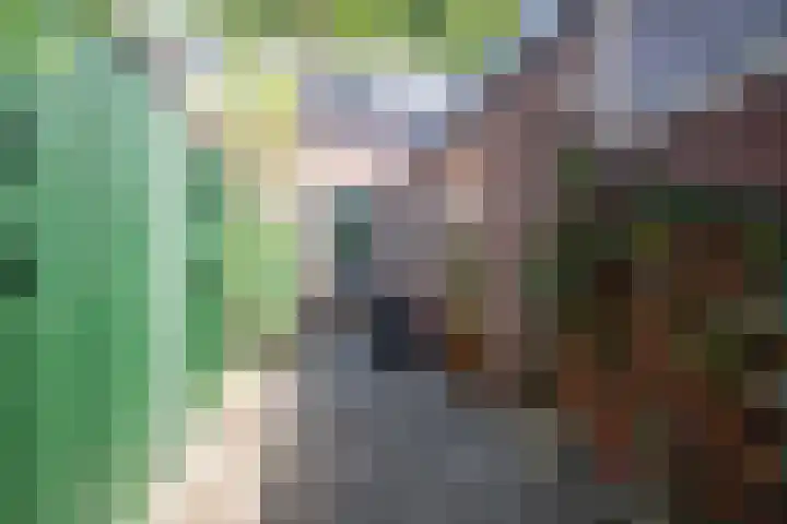 Kaukasuslaan 26 Tilburg thumbnail 5