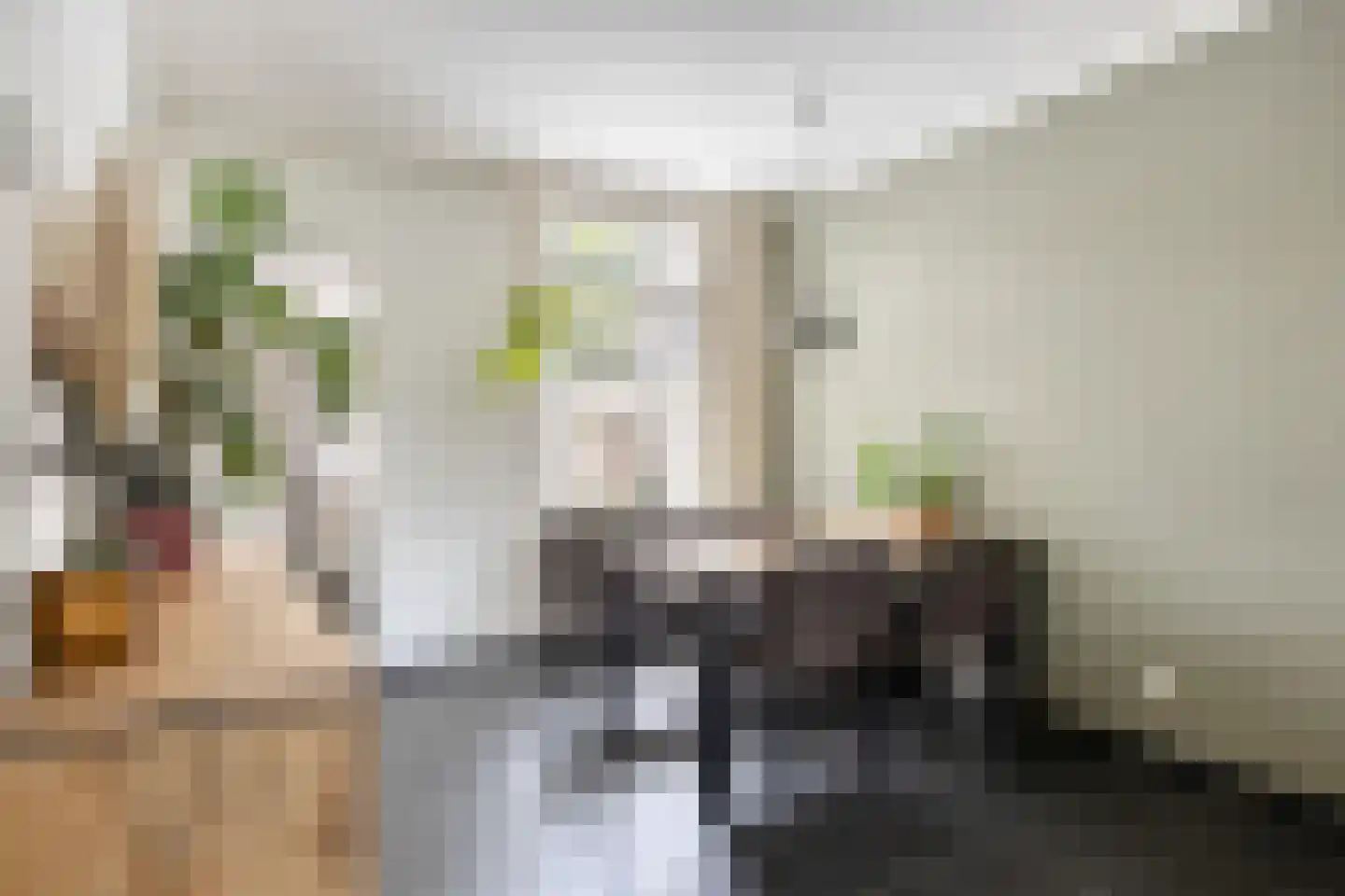 Kaukasuslaan 30 Tilburg thumbnail 12