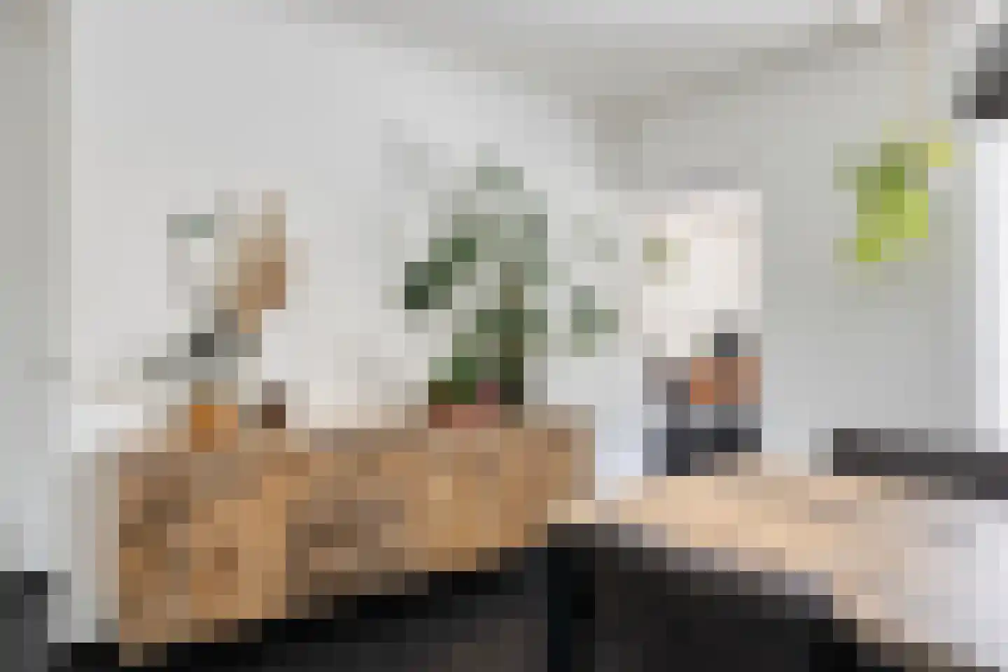 Kaukasuslaan 30 Tilburg thumbnail 13