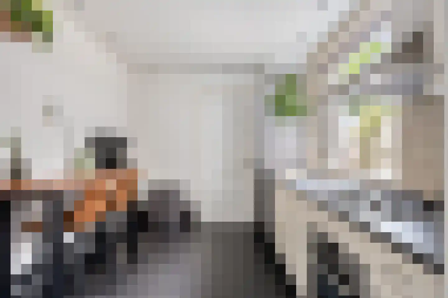 Kaukasuslaan 30 Tilburg thumbnail 14