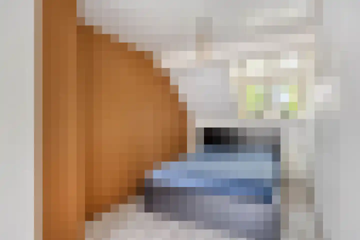 Kaukasuslaan 30 Tilburg thumbnail 21