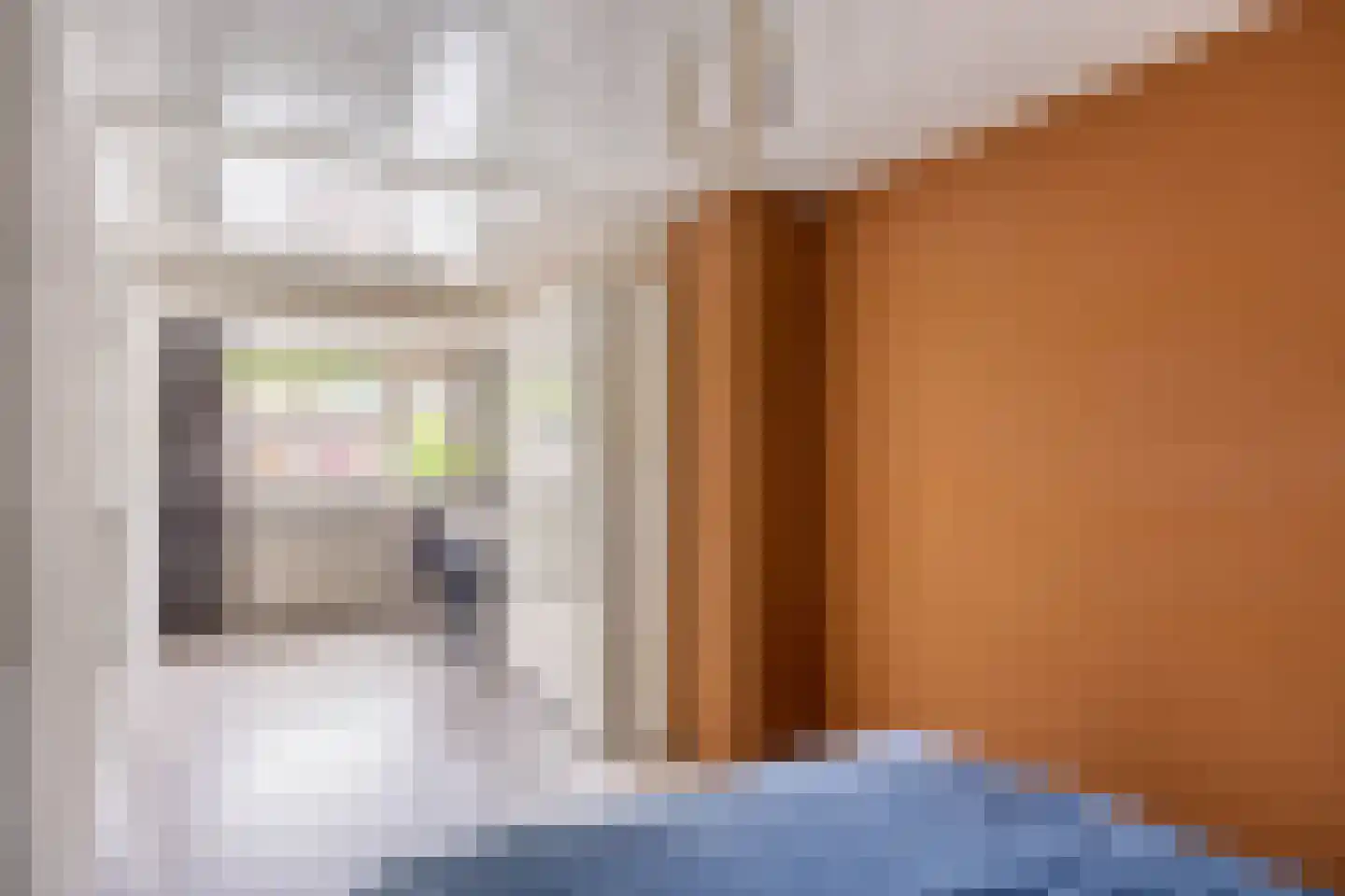 Kaukasuslaan 30 Tilburg thumbnail 22