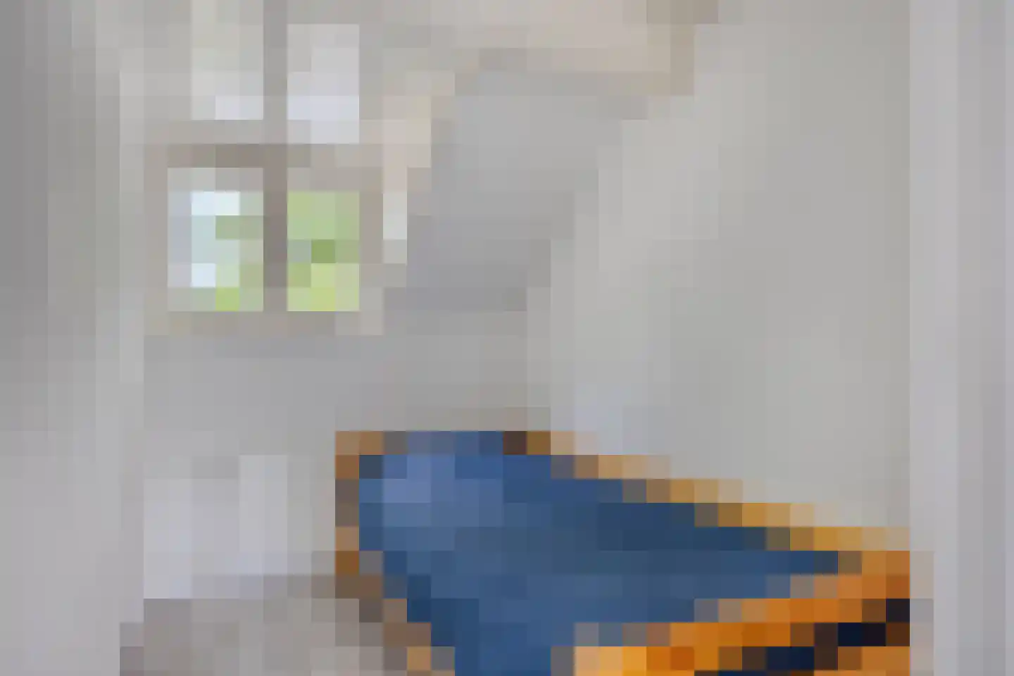 Kaukasuslaan 30 Tilburg thumbnail 24
