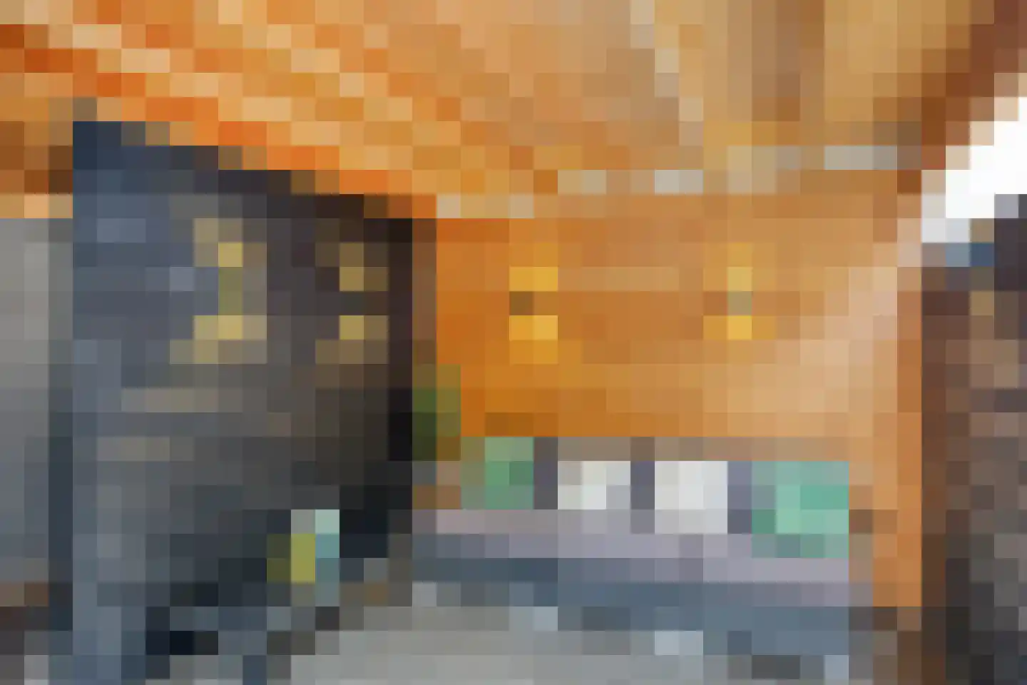 Kaukasuslaan 30 Tilburg thumbnail 27