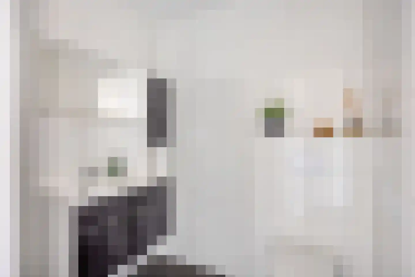 Kaukasuslaan 30 Tilburg thumbnail 4