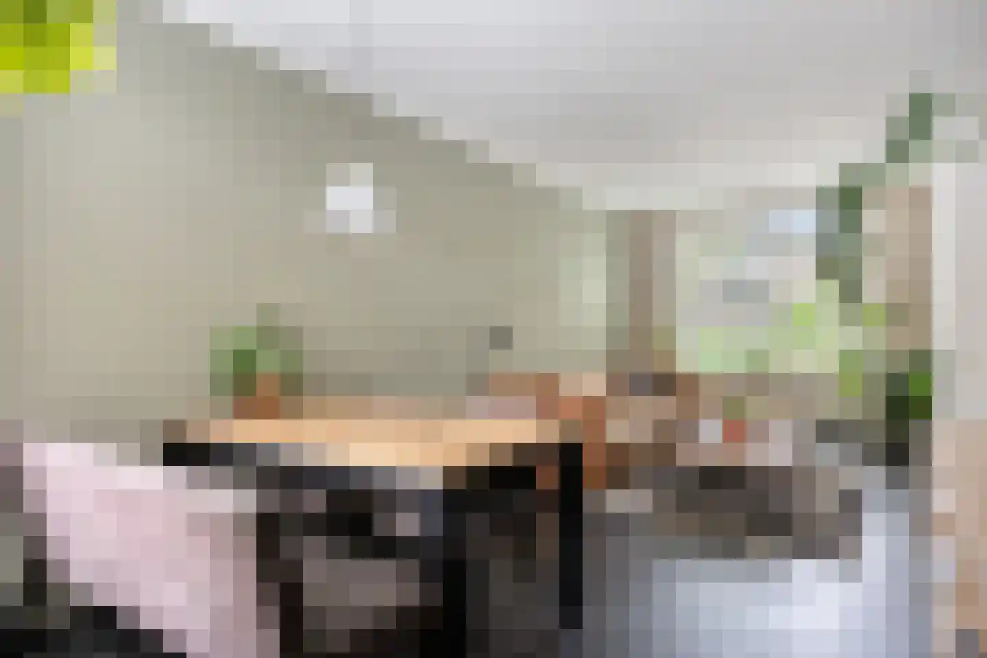 Kaukasuslaan 30 Tilburg thumbnail 9