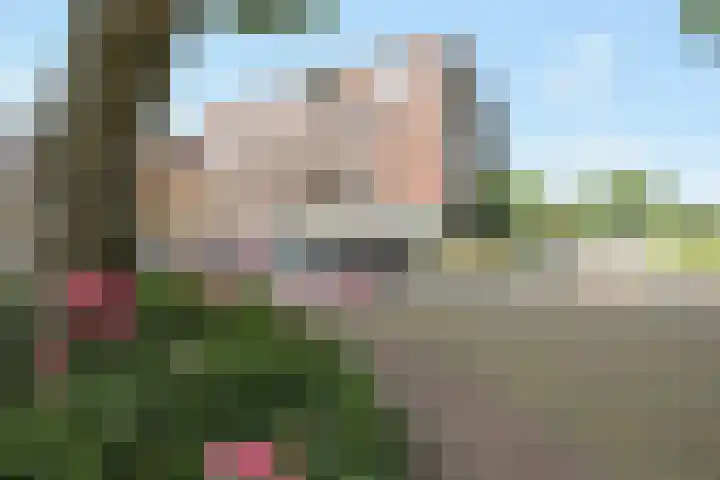 Kaupangstraat 112 Wijk bij Duurstede thumbnail 4