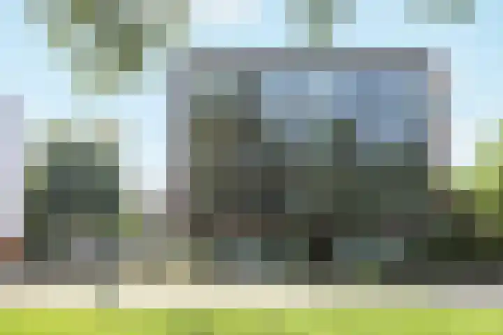Kaupangstraat 112 Wijk bij Duurstede thumbnail 5