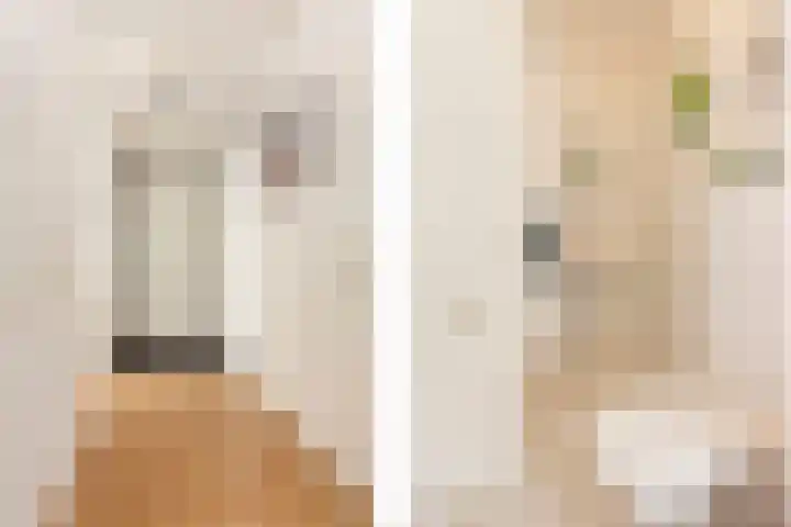 Kaupangstraat 112 Wijk bij Duurstede thumbnail 7