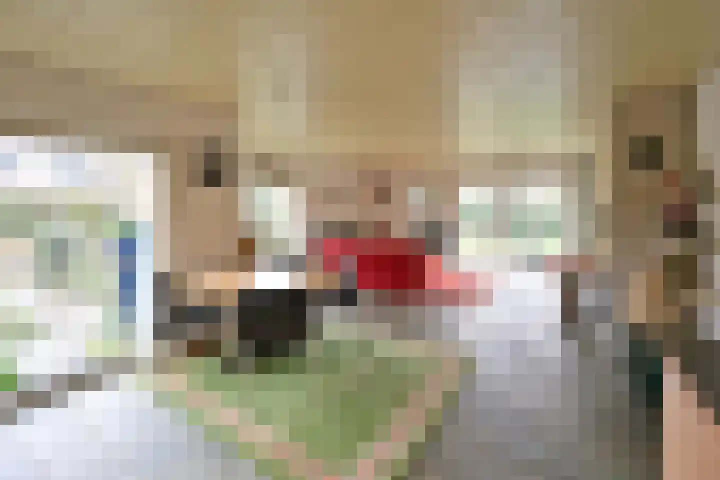 Kauw 15 Blaricum thumbnail 10
