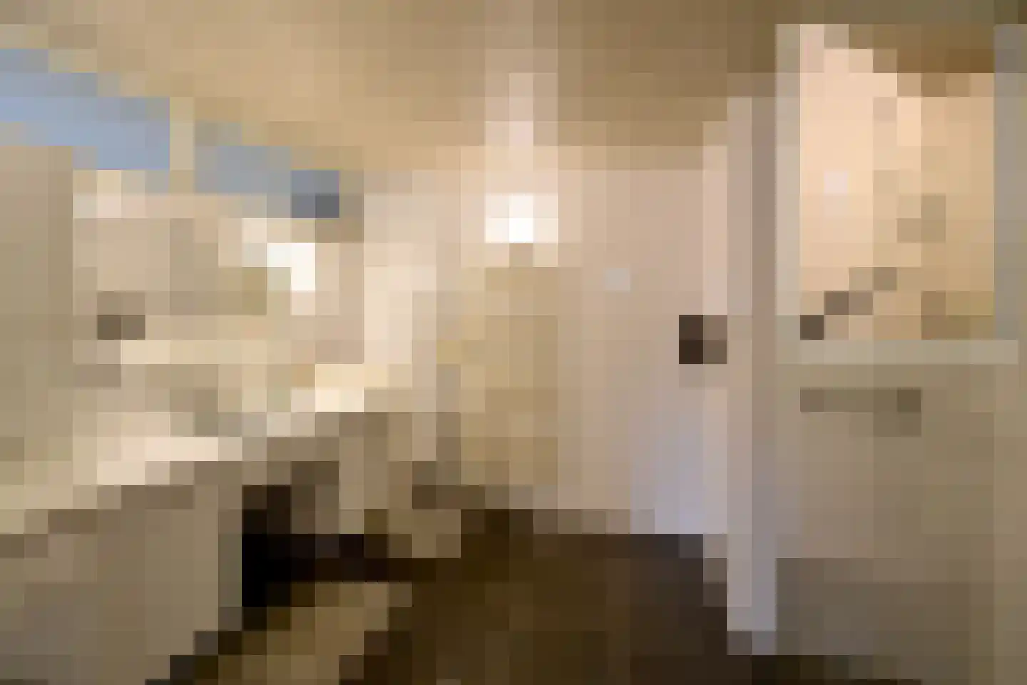 Kauw 15 Blaricum thumbnail 14
