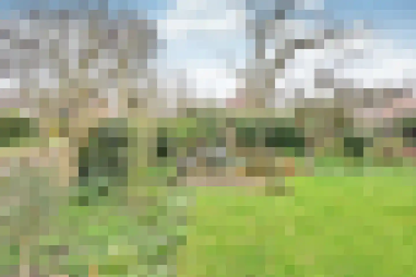 Kauw 15 Blaricum thumbnail 19