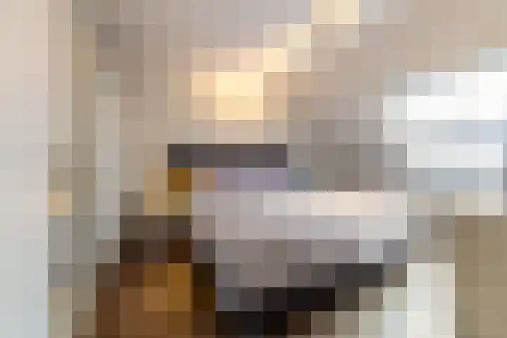 Kauwendaal 7 Nieuwerkerk aan den IJssel thumbnail 15
