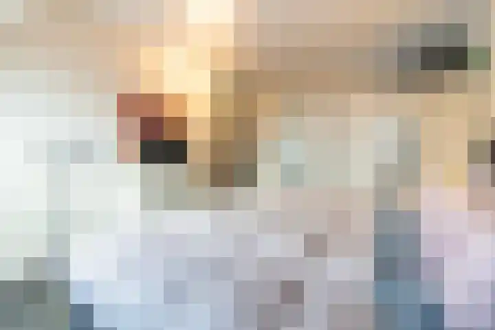 Kauwendaal 7 Nieuwerkerk aan den IJssel thumbnail 16