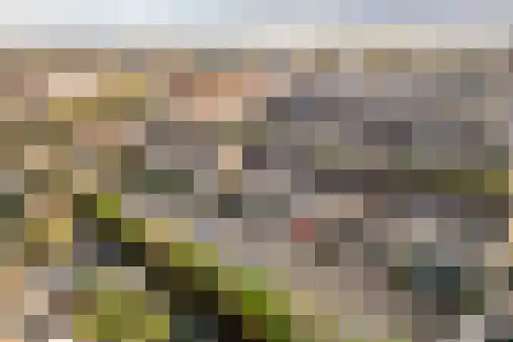 Kauwendaal 7 Nieuwerkerk aan den IJssel thumbnail 30