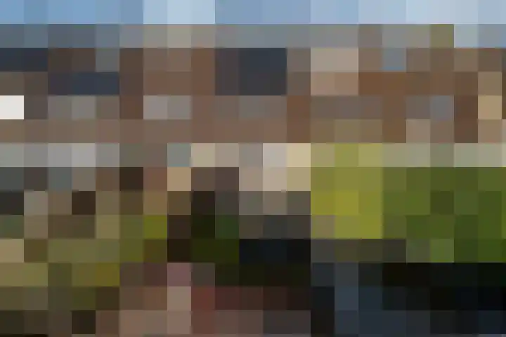Kauwendaal 7 Nieuwerkerk aan den IJssel thumbnail 31
