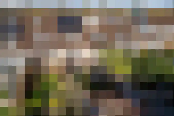 Kauwendaal 7 Nieuwerkerk aan den IJssel thumbnail 32