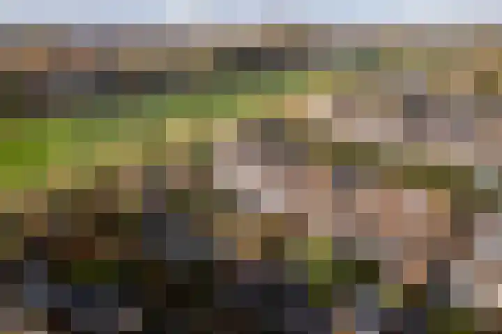 Kauwendaal 7 Nieuwerkerk aan den IJssel thumbnail 33