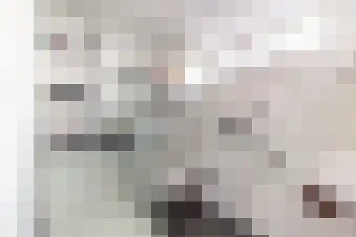 Kauwendaal 7 Nieuwerkerk aan den IJssel thumbnail 4