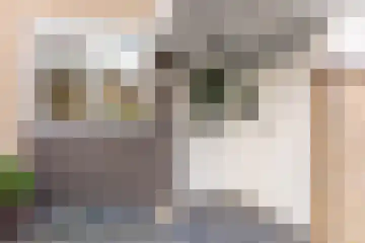 Kauwendaal 7 Nieuwerkerk aan den IJssel thumbnail 6