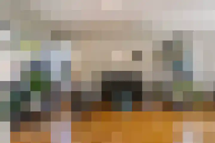 Kauwlaan 9 Den Haag thumbnail 14