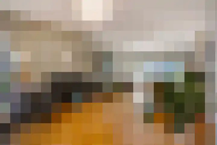 Kauwlaan 9 Den Haag thumbnail 15
