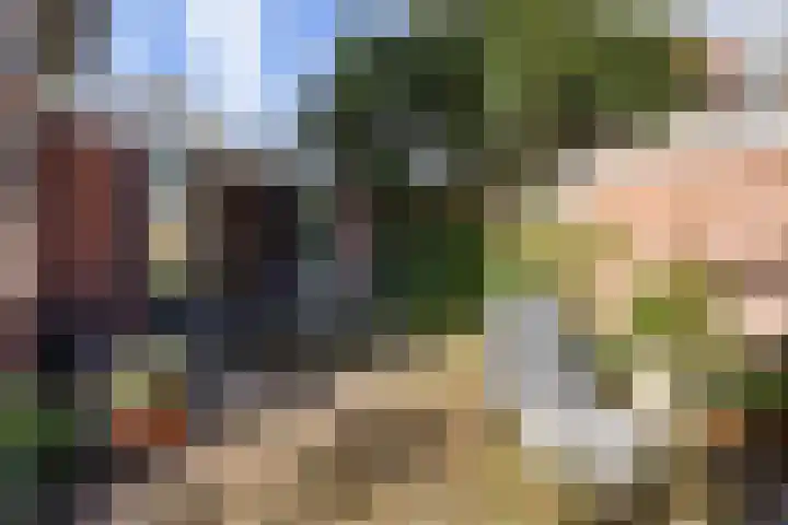 Kauwlaan 9 Den Haag thumbnail 23