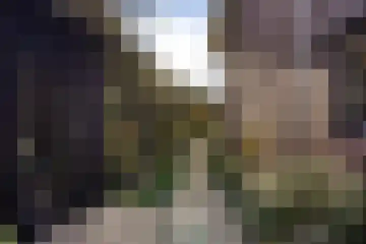 Kauwlaan 9 Den Haag thumbnail 28