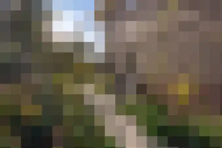 Kauwlaan 9 Den Haag thumbnail 29