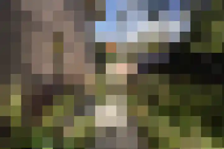 Kauwlaan 9 Den Haag thumbnail 30