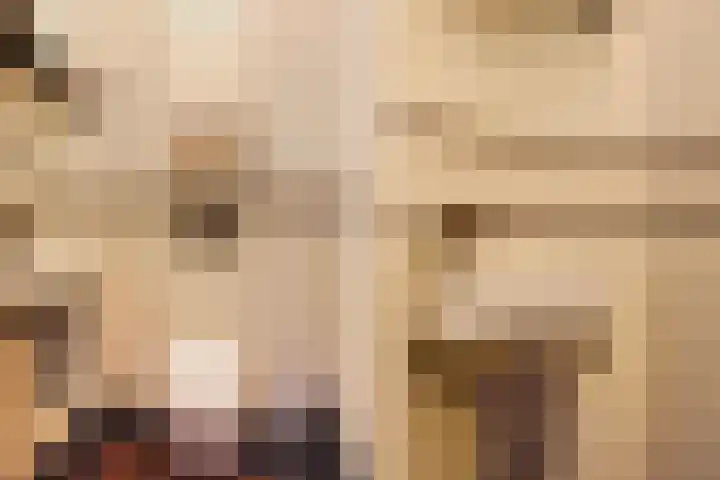 Kauwlaan 9 Den Haag thumbnail 32