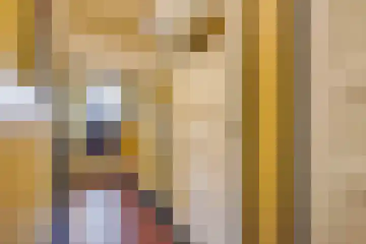Kauwlaan 9 Den Haag thumbnail 33