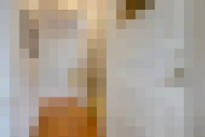 Kauwlaan 9 Den Haag thumbnail 34