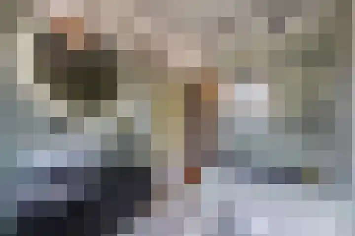 Kauwlaan 9 Den Haag thumbnail 40