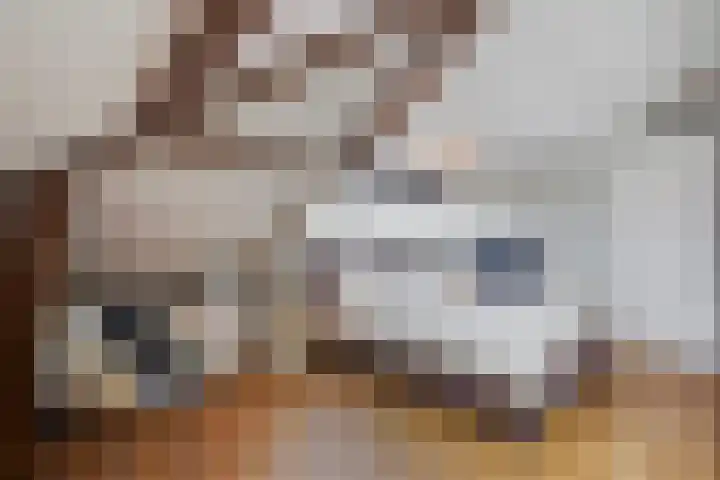 Kauwlaan 9 Den Haag thumbnail 51