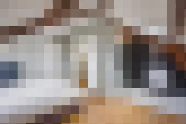 Kauwlaan 9 Den Haag thumbnail 52