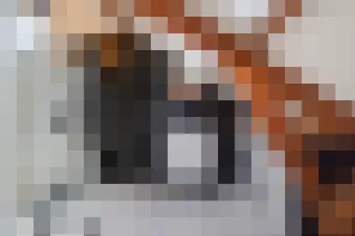 Kauwlaan 9 Den Haag thumbnail 53