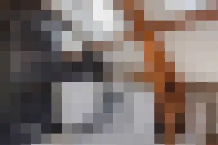 Kauwlaan 9 Den Haag thumbnail 55