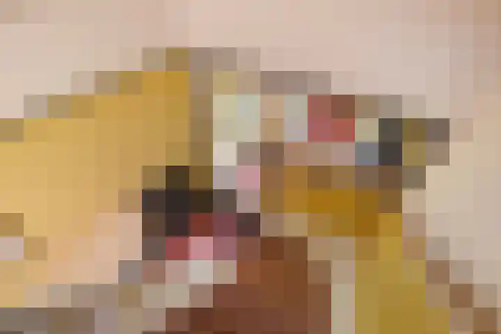 Kauwlaan 9 Den Haag thumbnail 58