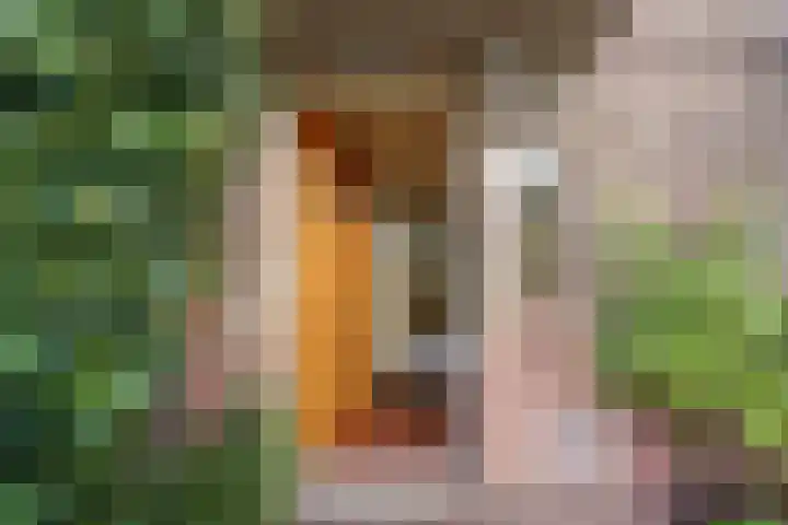 Kauwlaan 9 Den Haag thumbnail 6
