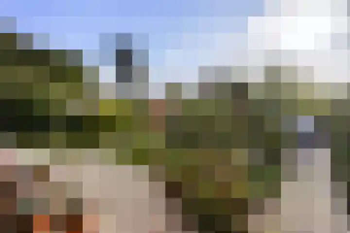 Kauwlaan 9 Den Haag thumbnail 60