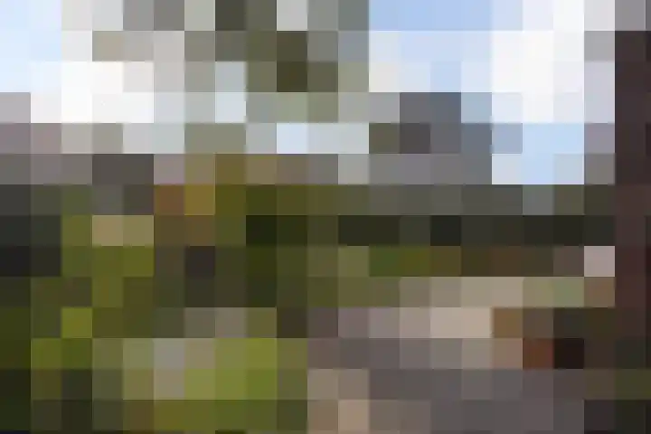 Kauwlaan 9 Den Haag thumbnail 62
