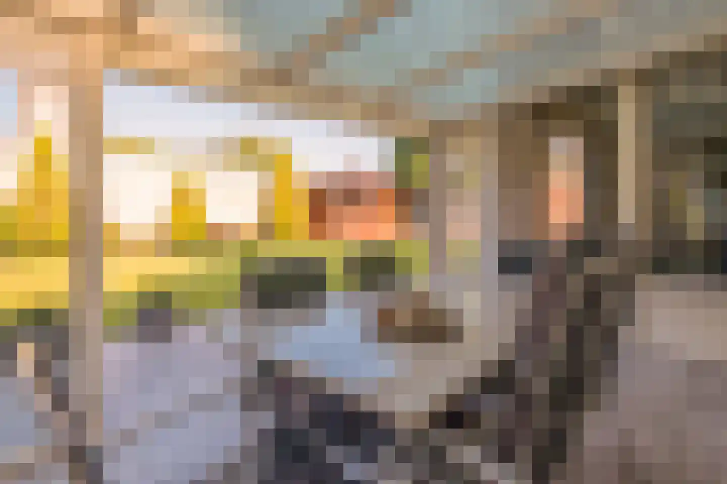 Kavelaarsstraat 15 Helmond thumbnail 26