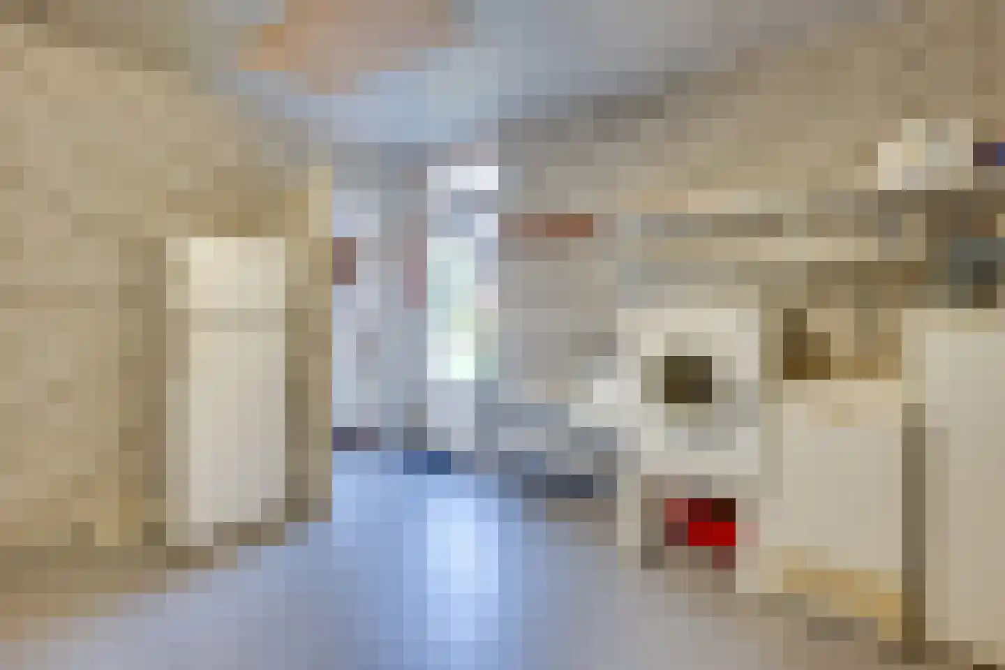 Kavelaarsstraat 15 Helmond thumbnail 34