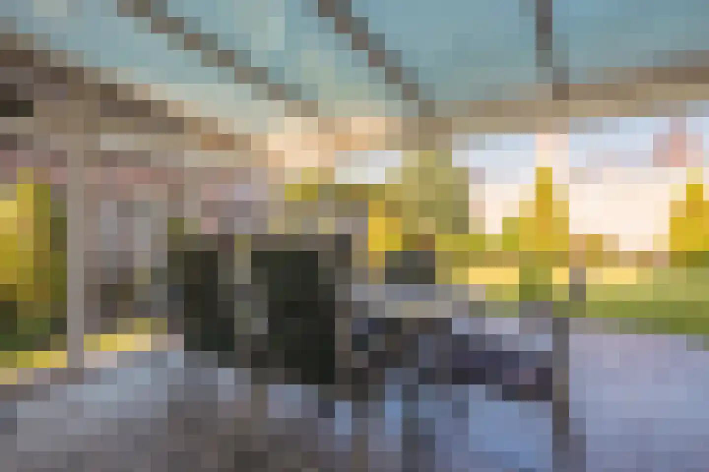 Kavelaarsstraat 15 Helmond thumbnail 5