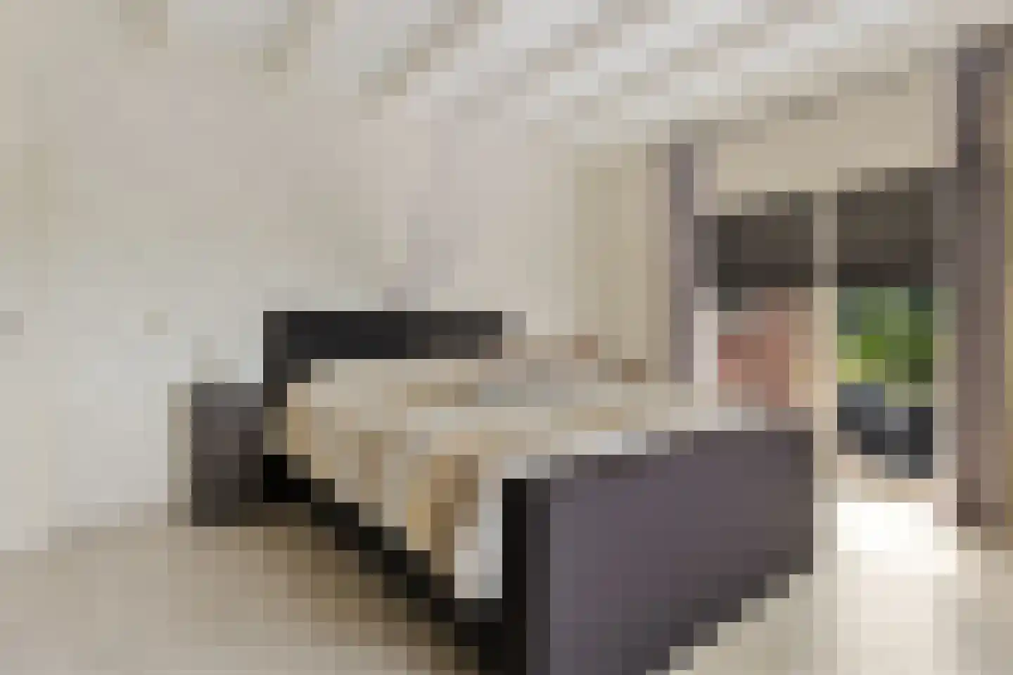 Kavelingen 41 Valthermond thumbnail 17