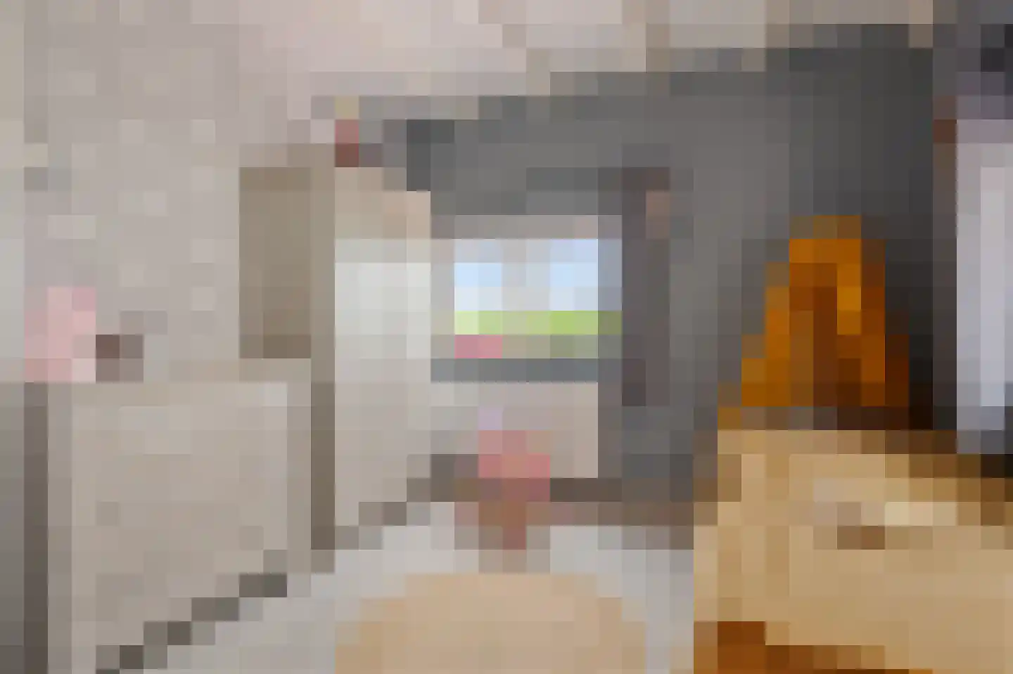 Kavelingen 41 Valthermond thumbnail 21