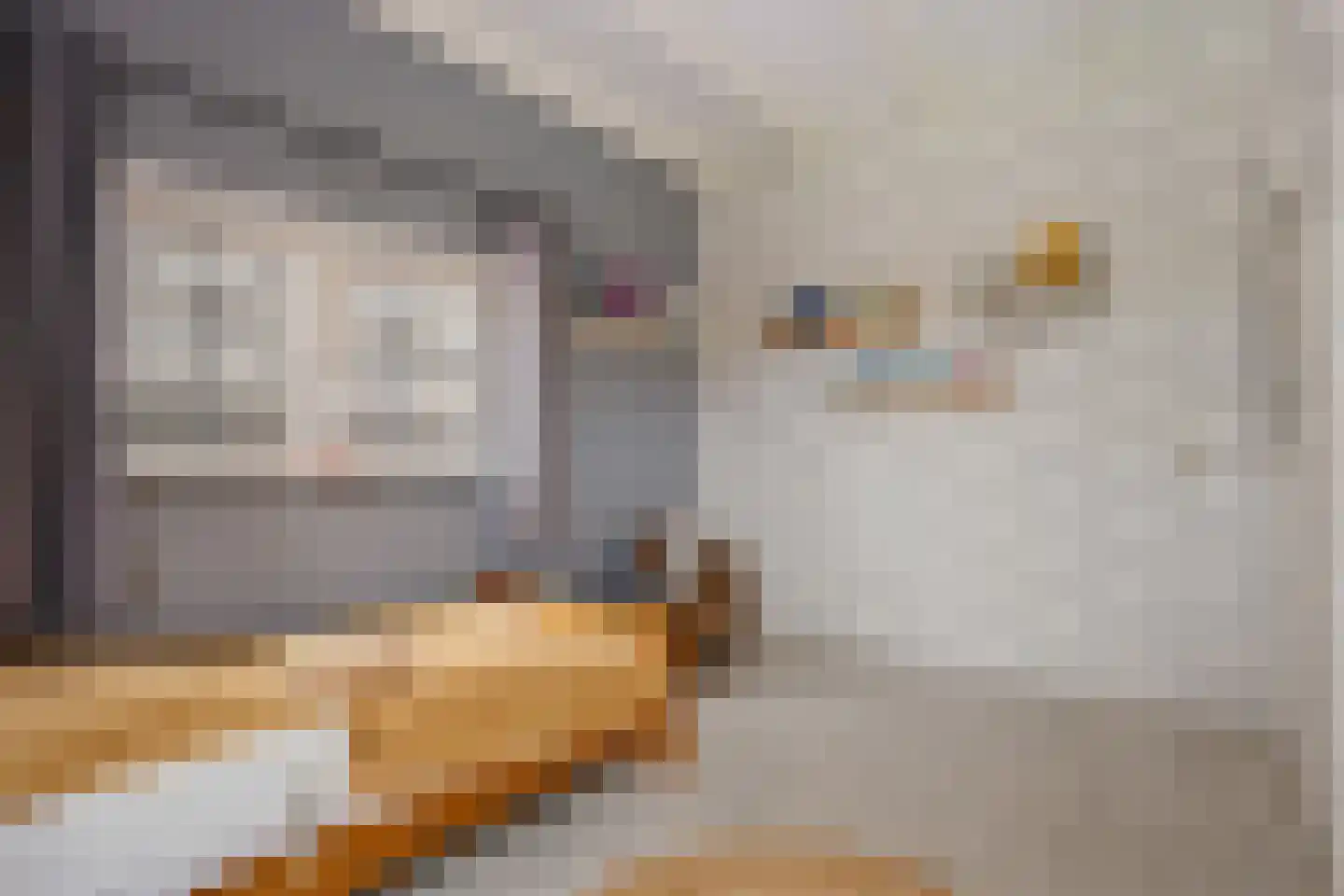 Kavelingen 41 Valthermond thumbnail 22